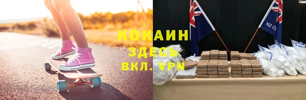 прущие грибы Абинск