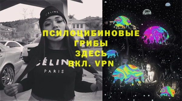 прущие грибы Абинск