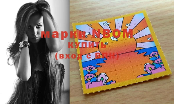 прущие грибы Абинск