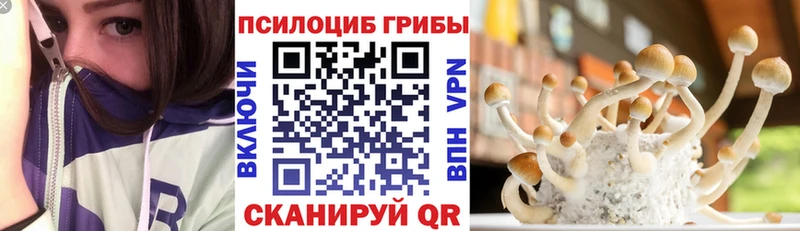 где можно купить наркотик Касимов Галлюциногенные грибы ЛСД